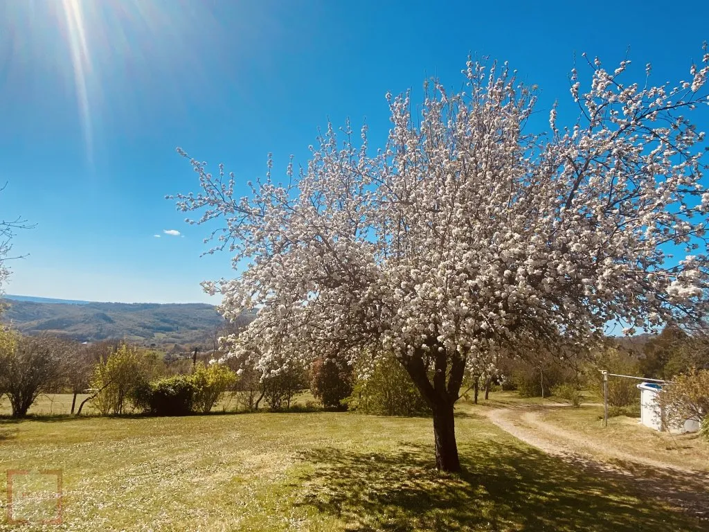 TRES BEL ENSEMBLE AVEC VUE ET 1 HA