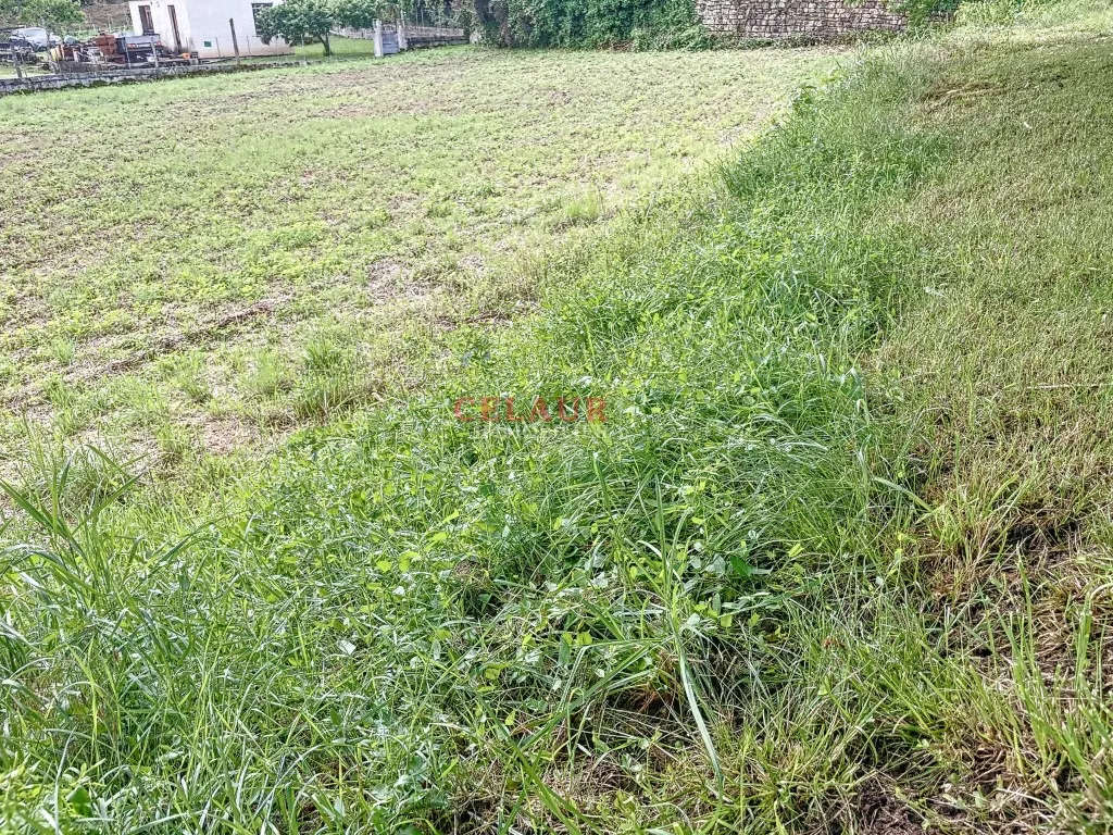 Terrain constructible