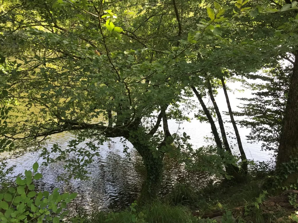 Joli terrain constructible au bord de la Dordogne
