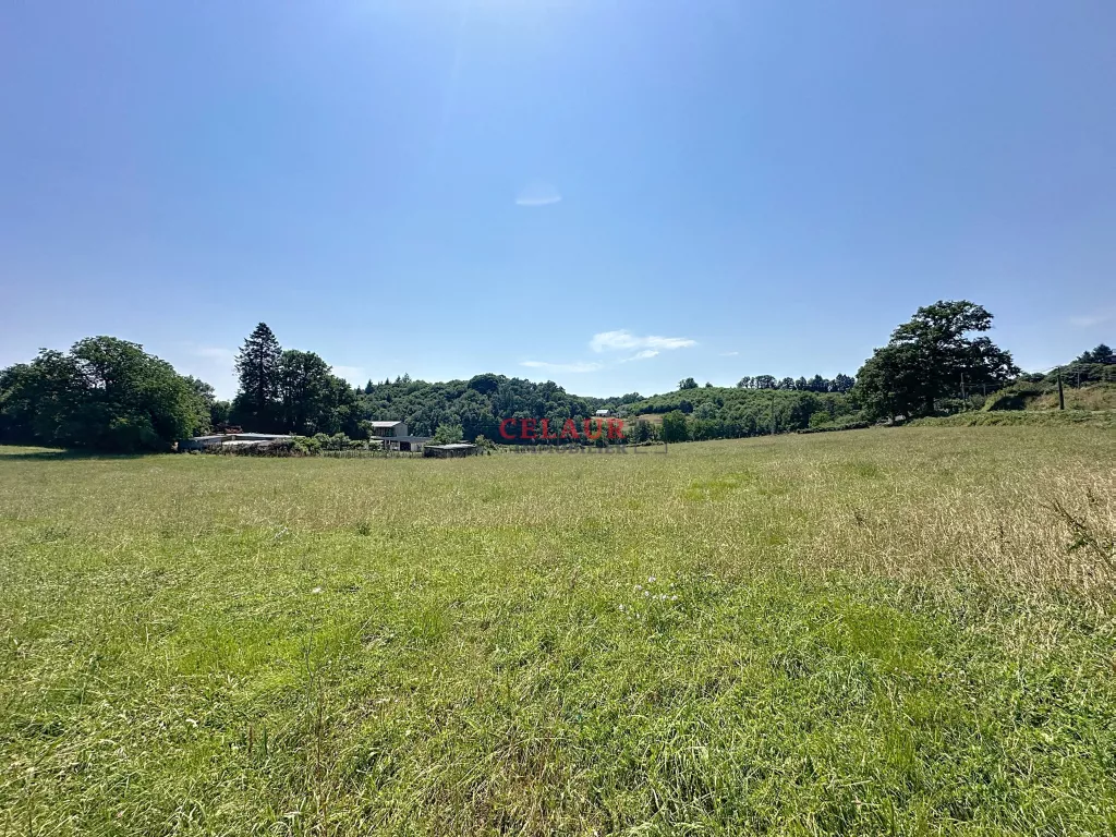 Terrain d&rsquo;1 hectare - bourg de Chameyrat
