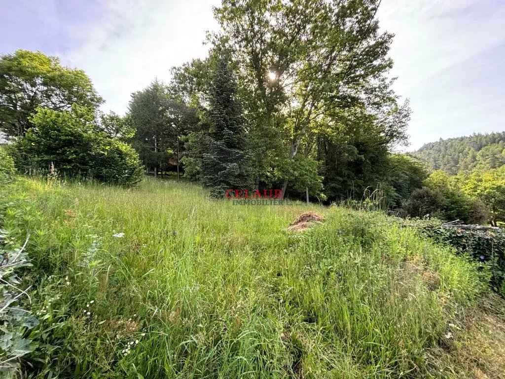 TERRAIN &Agrave; B&Acirc;TIR SUR LES HAUTEURS D'ARGENTAT