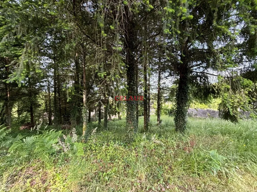 TERRAIN &Agrave; B&Acirc;TIR SUR LES HAUTEURS D'ARGENTAT