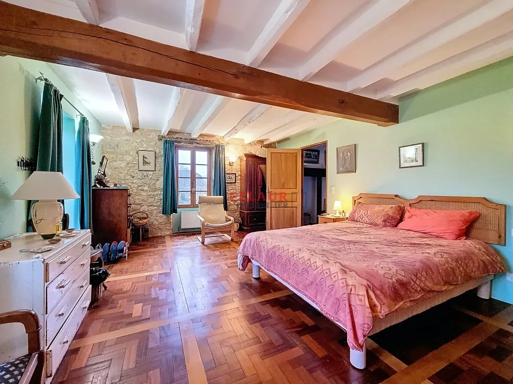 VASTE PROPRIETE EN PIERRE AVEC PISCINE