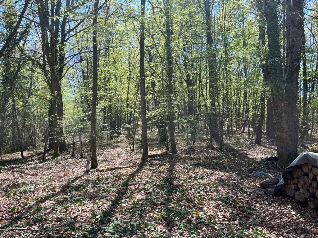 SYMPATHIQUE MAISON de CAMPAGNE