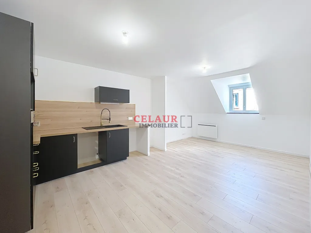 BEL APPARTEMENT R&Eacute;NOV&Eacute;